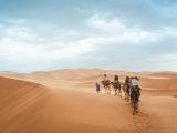 Les différents moyens pour visiter le Sahara marocain